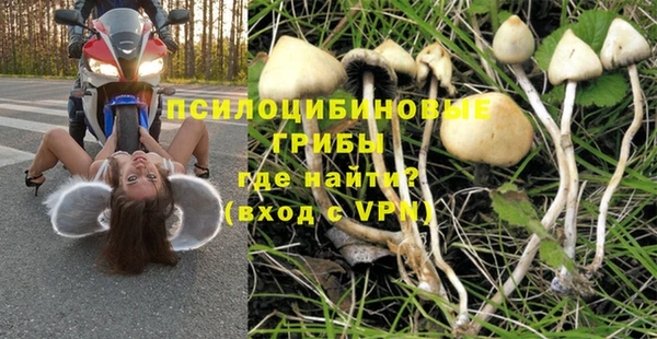 MDMA Алексеевка