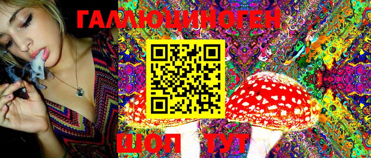 Псилоцибиновые грибы MAGIC MUSHROOMS Новокузнецк