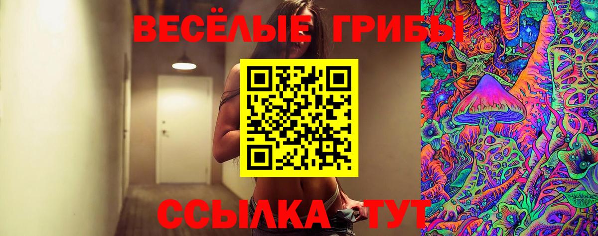 Новокузнецк  Псилоцибиновые грибы мицелий  Вход с VPN 